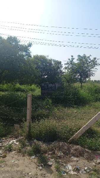 Prithla commercial land for ware house