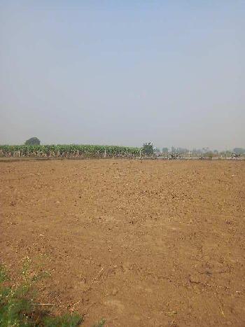 Agricultural land for multi purpose