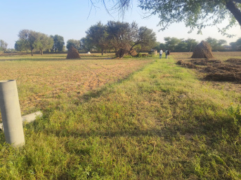 4900 Sq.ft. Agricultural/Farm Land for Sale in Bada Bangarda, Indore