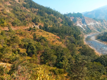 MOUTAIN AND RAMGANGA RIVER FOREST MARCHULA CORBETTE
