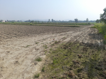 Property near Corbett National park forest Ramnagar