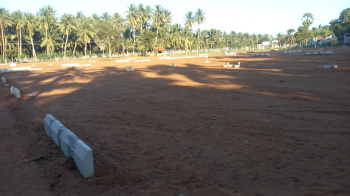 Property for sale in Thattarmadam, Tirunelveli