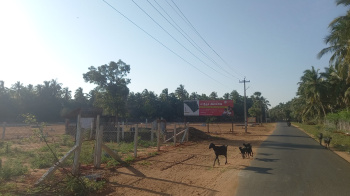 Property for sale in Thattarmadam, Tirunelveli