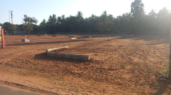 Property for sale in Radhapuram, Tirunelveli