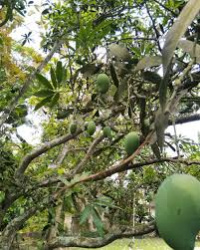 Property for sale in Polba, Hooghly