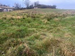 Residential Plot for Sale in Polba, Hooghly (2.5 Bigha)