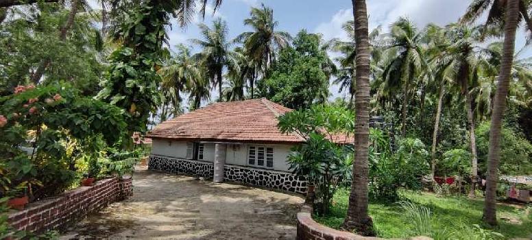 2 BHK Farm House For Sale In Karjat, Raigad (4 Acre)
