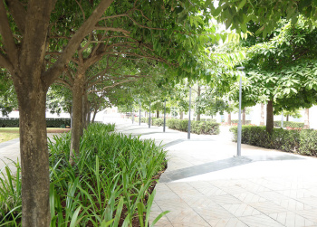 Property for sale in Kiwale, Pune