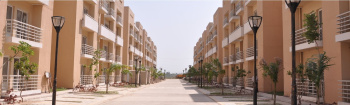 3 BHK Flats & Apartments for Sale in Sector 76, Faridabad (1467 Sq.ft.)