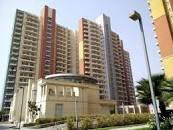 2103 Sq.ft. Residential Plot for Rent in Neharpar, Faridabad