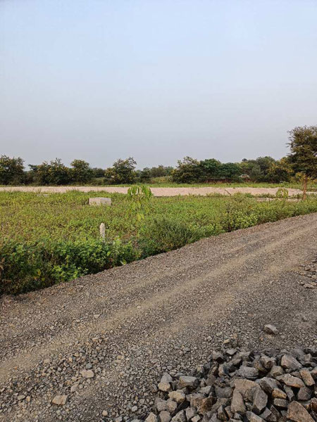 1251 Sq.ft. Residential Plot for Sale in Wardha Road Wardha Road, Nagpur