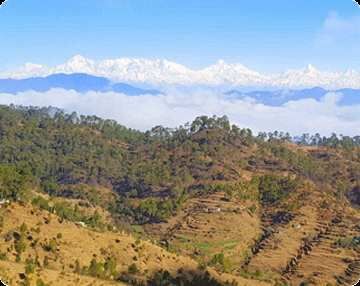 300 Sq.ft. Banquet Hall & Guest House for Sale in Lamgara, Almora