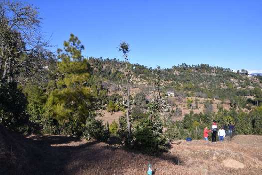 Property for sale in Mukteshwar, Nainital