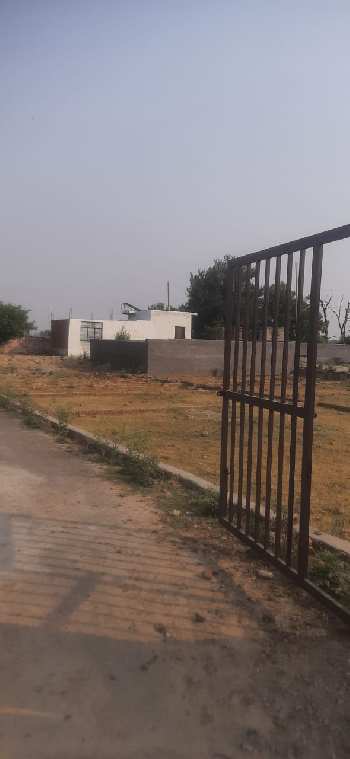 100 Sq. Yards Residential Plot for Sale in Bhanauta, Greater Noida