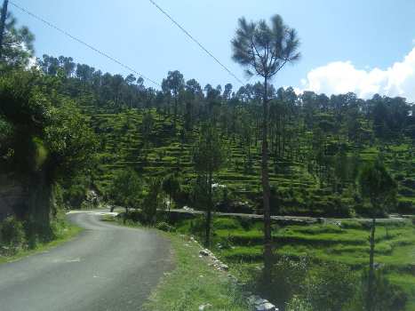 Property for sale in Lamgara, Almora