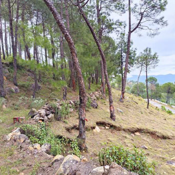 Property for sale in Kausani, Almora