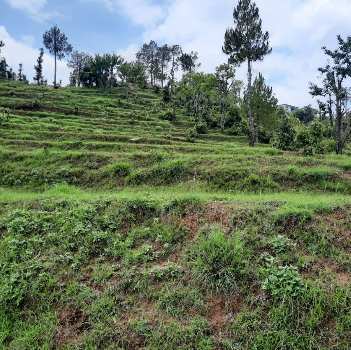 300 Sq. Yards Residential Plot for Sale in Kausani, Bageshwar