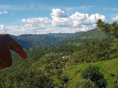 Property for sale in Dhanachuli, Nainital