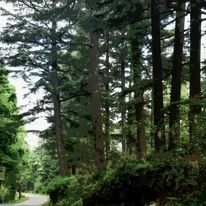 Property for sale in Ranikhet, Almora