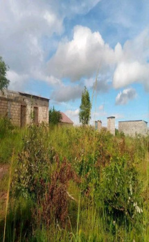 Property for sale in Mukteshwar, Nainital