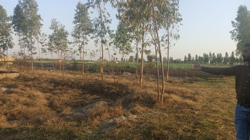 240 Sq.ft. Residential Plot for Sale in NH 2, Palwal