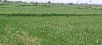 250 Sq. Meter Commercial Lands /Inst. Land for Sale in Noida