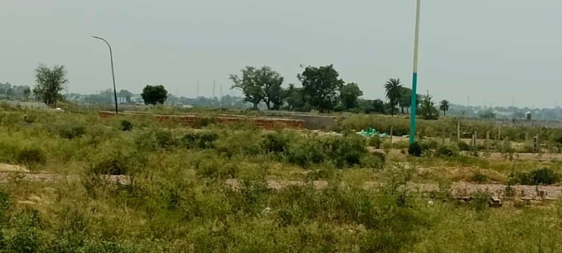 918 Sq. Yards Residential Plot for Sale in Aligarh