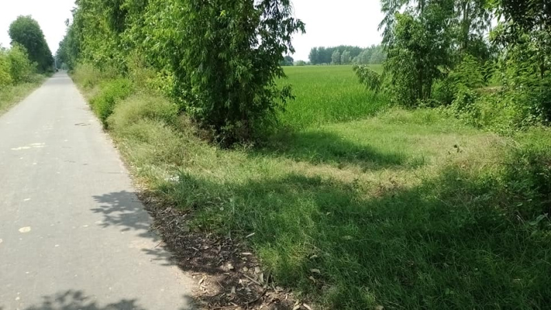 3.20 Acre Agricultural/Farm Land for Sale in Palwal
