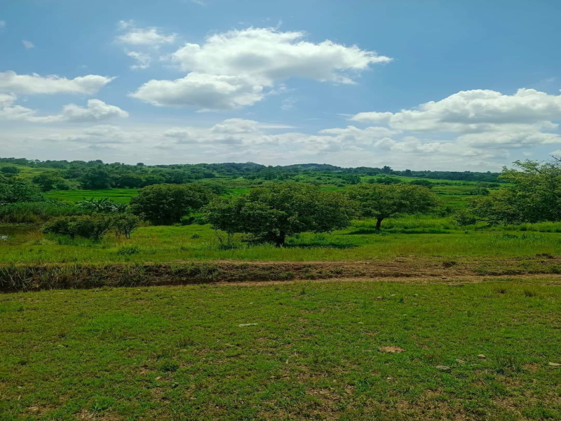 1 Acre Agricultural/Farm Land for Sale in Gurgaon