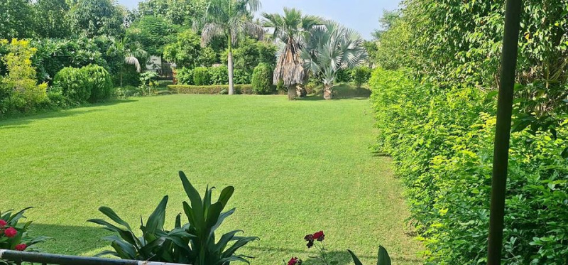2 BHK Farm House for Sale in Greater Noida West, Greater Noida (1008 Sq. Yards)