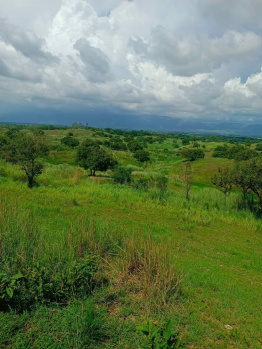 Property for sale in Jewar, Gautam Buddha Nagar