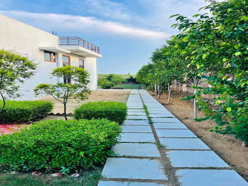 1 RK Farm House for Sale in Noida (1800 Sq. Yards)