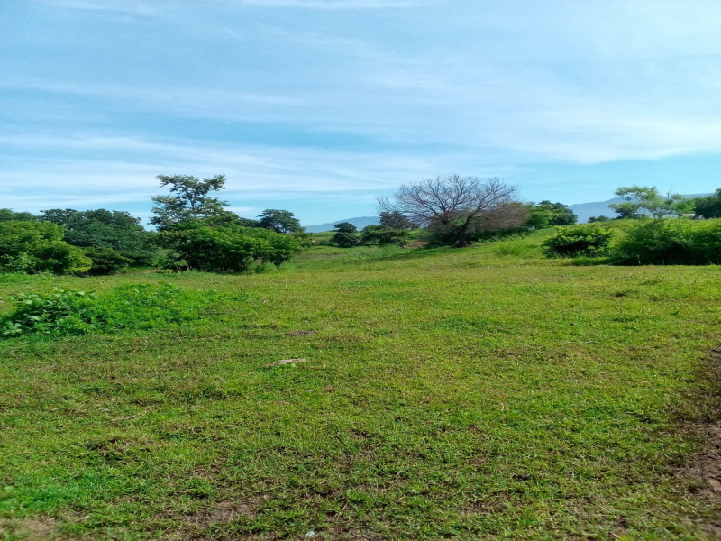 2 Acre Agricultural/Farm Land for Sale in Faridabad Road, Gurgaon