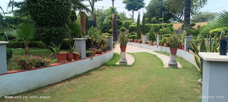 3 BHK Farm House for Sale in Tappal, Aligarh (1000 Sq. Yards)