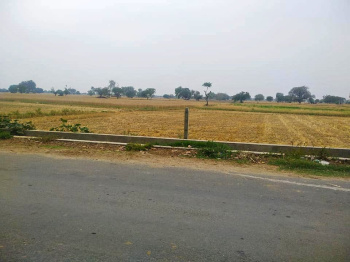 4 BHK Farm House for Sale in Yamuna Expressway, Greater Noida (60 Bigha)