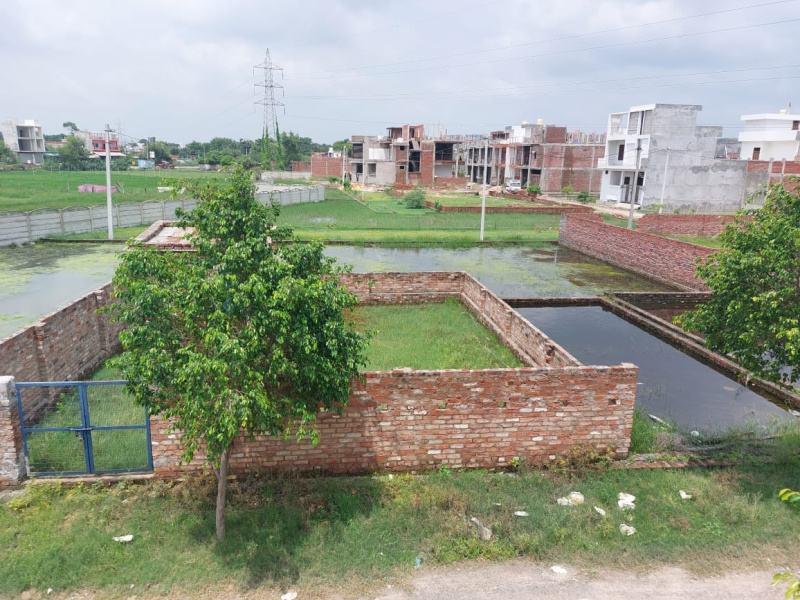 50 Sq. Yards Residential Plot for Sale in Jewar, Gautam Buddha Nagar