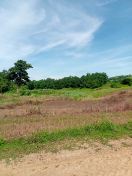 100 Bigha Agricultural/Farm Land for Sale in Jewar, Gautam Buddha Nagar