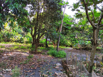 Property for sale in Valpoi, Goa