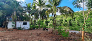 300 Sq. Meter Residential Plot for Sale in Borim, Ponda, Goa