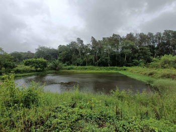 Property for sale in Valpoi, Goa
