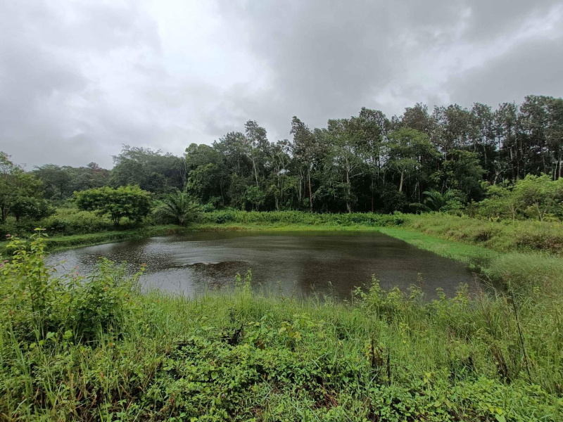 3 Hectares Agricultural/Farm Land for Sale in Valpoi, Goa