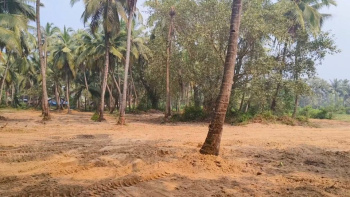 255 Sq. Meter Residential Plot for Sale in Borim, Ponda, Goa