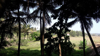 1050 Sq. Meter Commercial Lands /Inst. Land for Sale in Chandor, Goa