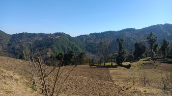 Property for sale in Dhanachuli, Nainital