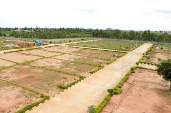 Residential Plot for Sale in Solra, Palwal (100 Sq. Yards)