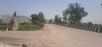 200 Sq. Yards Residential Plot for Sale in Jewar, Gautam Buddha Nagar