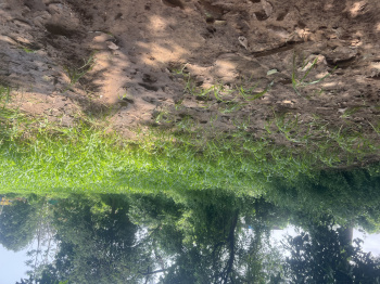 Agricultural/Farm Land for Sale in Petlad, Anand (116 Guntha)