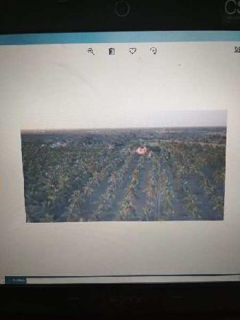 Agriculture Land For Sale In Chinna Dharapuram