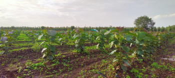 Devolop farm house land for sale