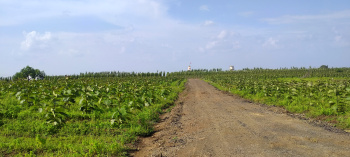 Farm project  on wardha road for sale